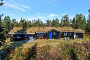 Mountainhome Norefjell